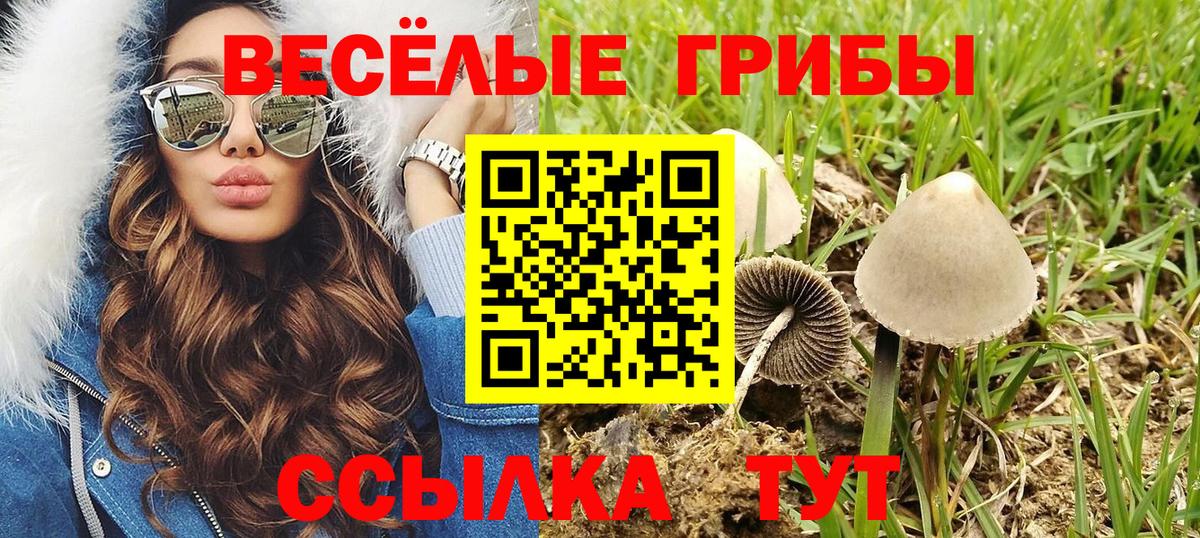 Галлюциногенные грибы мухоморы Калуга